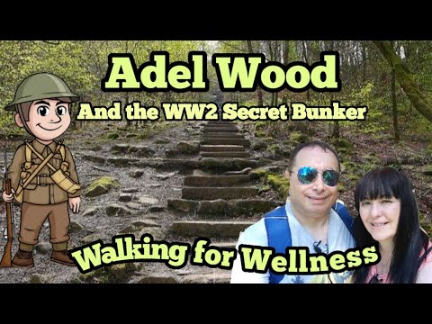 #woodland #walking #adventure #ww2 #nature What's that in the woods? Adel Wood, North Leeds