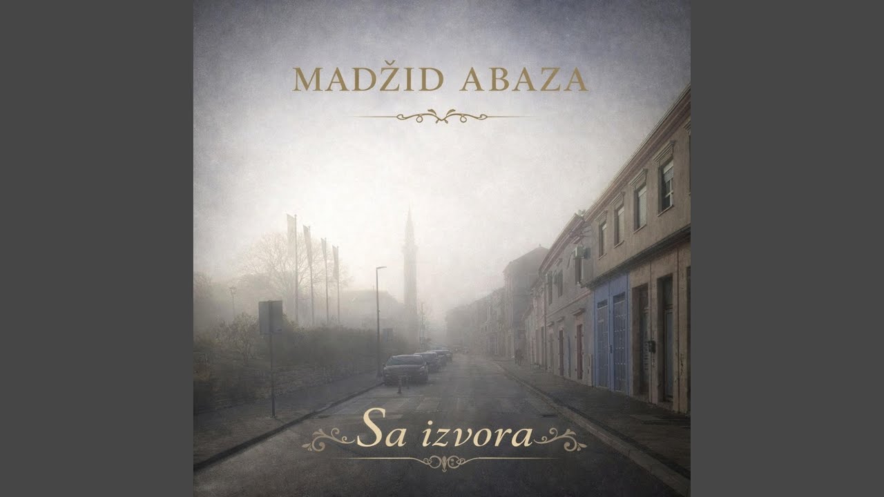 Bosna treba svoje insane