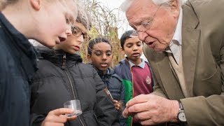 David Attenborough - Conserving Wonder