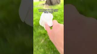 The Only Summer Wind Turbine You Need.