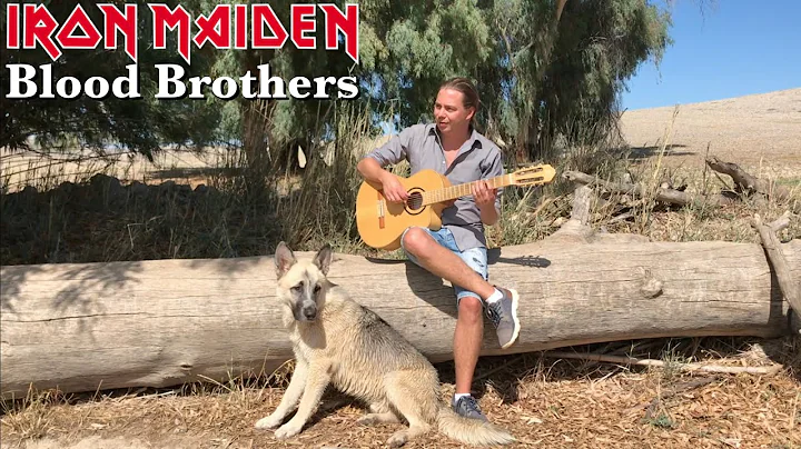 Iron Maiden - Blood Brothers | Acoustic Cover - Vi...