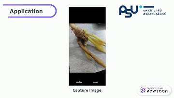 Mobile Application Herb Identification with Image
