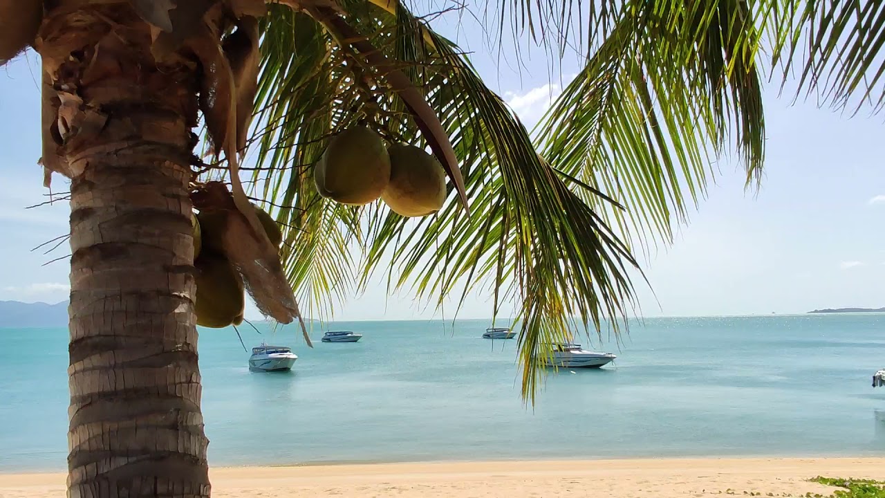 Coconut Beach Resort, Mae Nam Beach, Ko Samui, Thailand ข้อมูลทั้งหมด