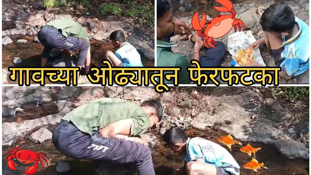 जंगलातल्या ओढ्यातून फेरफटका 