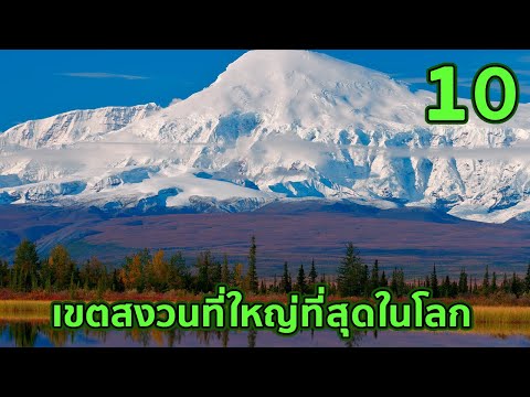 วีดีโอ: เขตสงวน Nizhnesvirsky - การอนุรักษ์มรดกทางธรรมชาติ