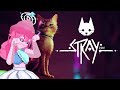 [VOD] Stray