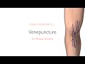 A basic introduction to venepuncture in 5 min - flipping the classroom