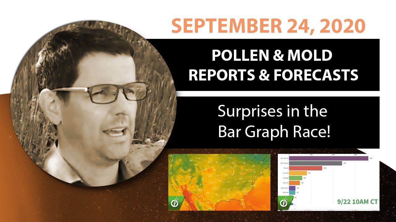Seasonal Allergy Forecast: Pollen and Mold Counts, September 24, 2020