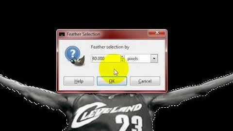 How to cut out part of an image using Gimp 2.6 HD