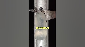 Secretos de la limpieza profesional de puertos🤯