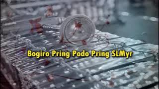 Bogiro Pring Podo Pring SLMyr