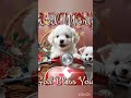 #goodmorning #shortvideos #viral