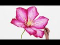 How to paint a BIG and detailed flower in watercolor with Anna Mason