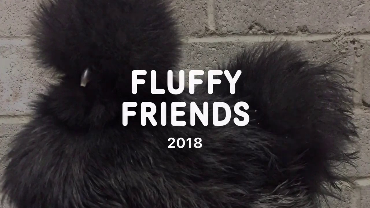 My summer for 2018, Me included