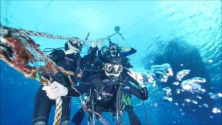 GreenIsland 201610 Diving南面潛水 _教堂真美!