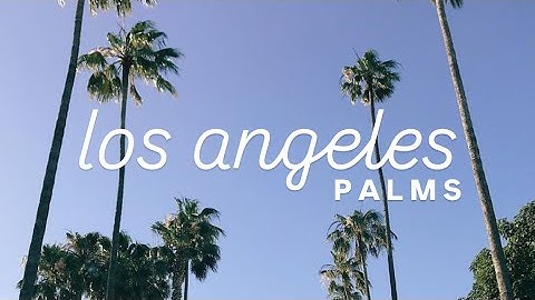 LA Trees: The Unsung Heroes of Carbon Absorption! (+ Petitions To Sign)