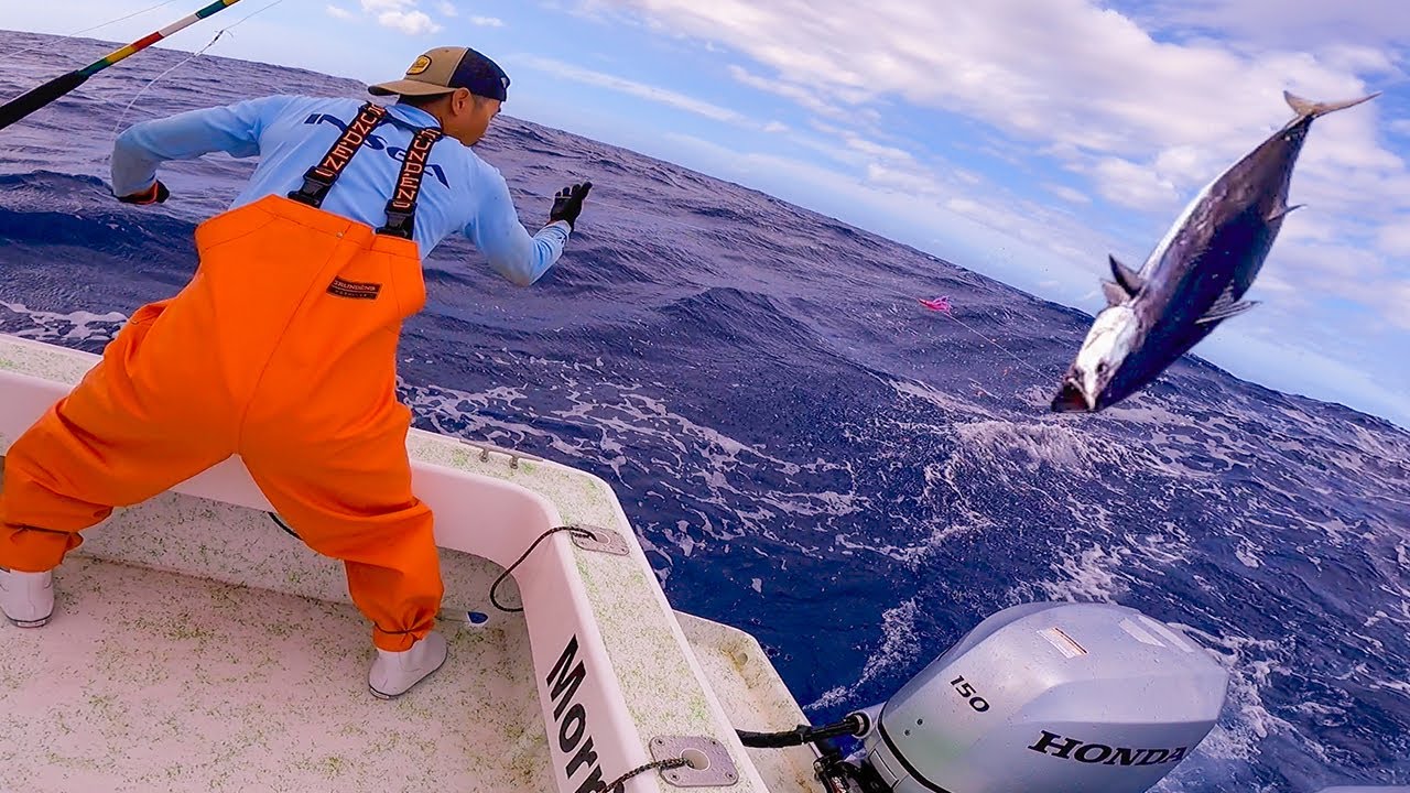 Fish are JUMPING in the BOAT! Green Stick Fishing in Hawaii! YouTube