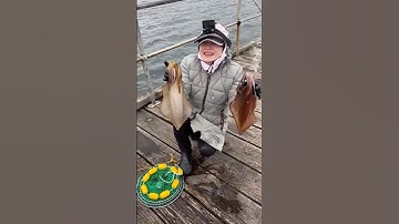 🇦🇺#shorts CÂU MỰC ỐNG ở bờ biển Úc #jettyfishing #squidfishing #câumực #fishing #squid