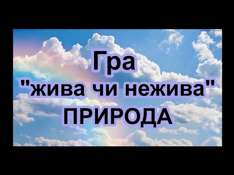 Гра "Жива та нежива природа". Відеогра