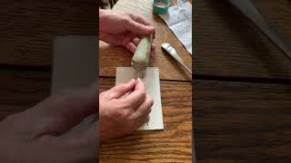 How to taper Trazodone