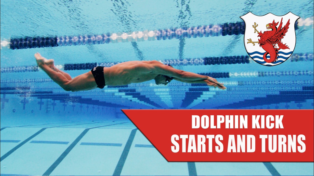 6-7 или 3-4? Узнайте ПРАВИЛЬНОЕ количество дельфиньих ударов ногами для ВАШЕЙ скорости (проверенн...