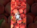 I MISS YOU BABY Ilovefruits Ilovebaby Trending Tiktok Capcut Shorts 