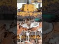 What Happens When a Hydraulic Press Crushes a Coconut? 😱 #ai #hydraulicpress #hydraulics #shorts
