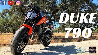 Duke 790 e curvas da N2