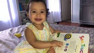 See, Touch, Feel Priddy Books