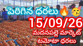 15-09-26 Madanapalle Tomato Market Price Today Today Tomato Market Rate In Madanapalle