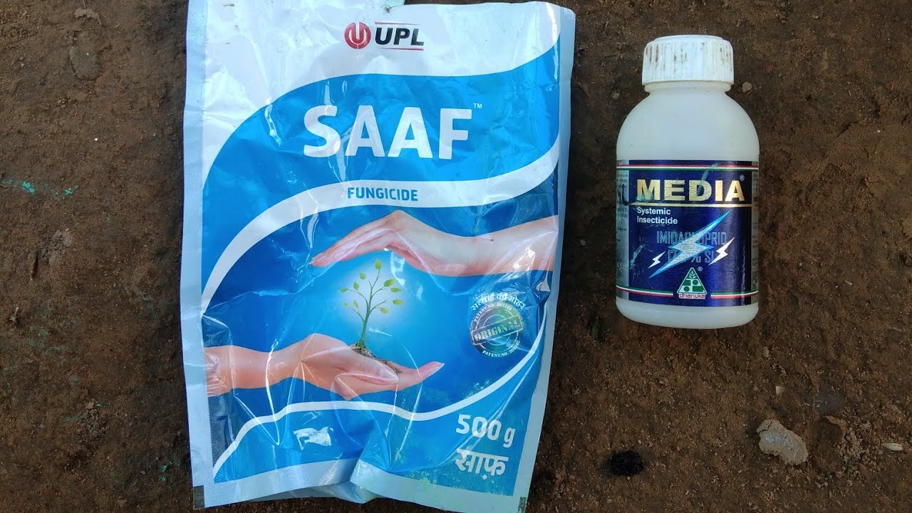Saaf Insecticide MEDIA Systemic Insecticide Or SAAF Fungicide - YouTube