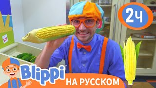 Детский музей «Глейзер» | Изучай этот мир вместе с Блиппи | Blippi Russian