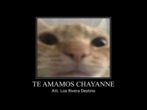 Chayanne Forever