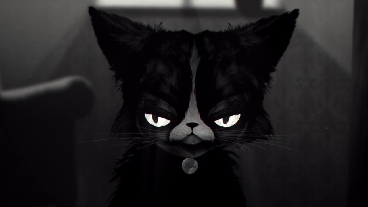 video She Wants Me Dead