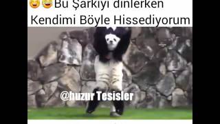 Ben yoruldum hayat gelme üstüme