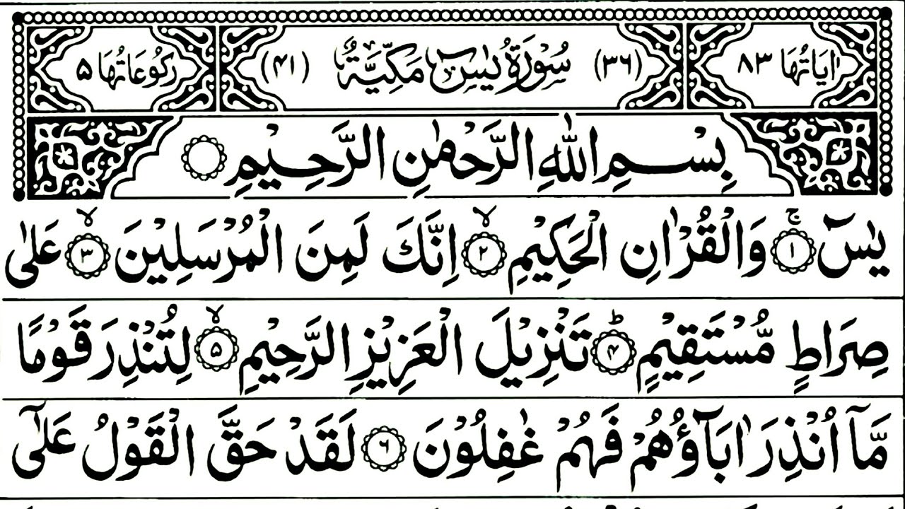 Surah Yaseen Full | Surah Rahman, Mulk, Morning wazifa, Ayatul Kursi | By The Quranic Attraction 565