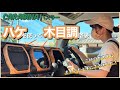 【ハスラーカスタム】# 48 ホームセンターに売ってる塗料で木目調塗装!初挑戦でもこのクオリティ!