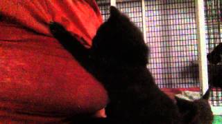 Scar and Family 05212015 071