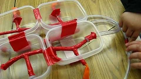 Building a four-chambered heart model with everyday materials (great for kids)