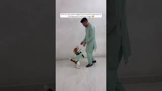 This dog steals the show  #shorts #youtubeshorts #india #Indianwedding #dog #Beagle