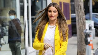 Sofia Vergara oozes style as she enjoys spot of shopping