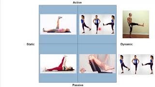 KIN 200 Stretching Activity