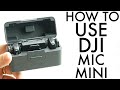 How To Use DJI Mic Mini! (Complete Beginners Guide)