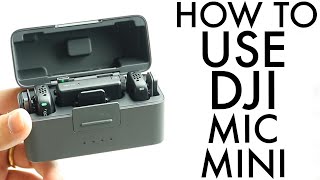 Famous How To Use DJI Mic Mini! (Complete Beginners Guide) Net Worth