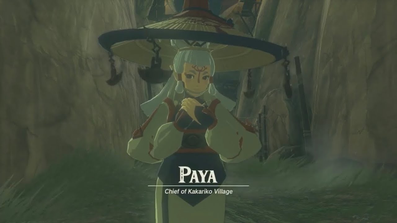 Terrific Tears Of The Kingdom Paya Photos