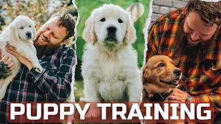 Everything You Need To Know To Train A Perfect Puppy In Under 40 minutes by Will Atherton Canine Training 11,248 views 11 days ago 39 minutes