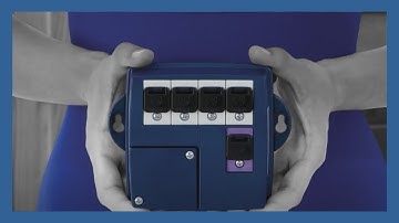 Gecko in grid , économie d