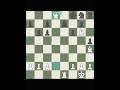 The Queen Sucrifice Chess Edit Youtube Shorts Recomendation Rec Top mp3