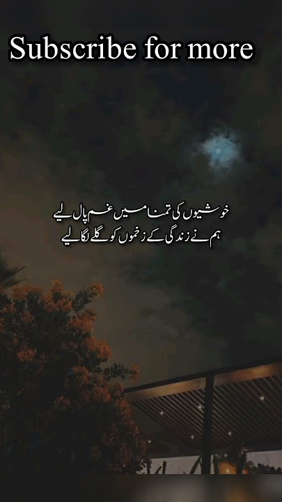 Hayee zindagi ka zahamo ko galay laga liya |#ytstdio #poetry #yaadteriaai #shortsviral #sadpoetry
