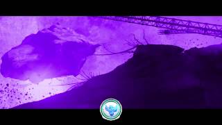 Dart Rayne & Yura Moonlight Feat Cynthia Hall Step Towards The Within Afternova